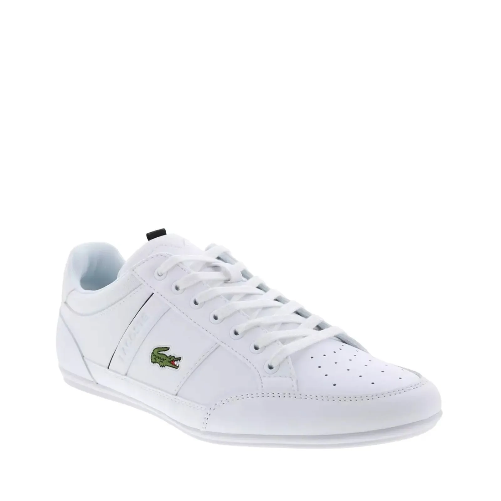 Men's Shoes Lacoste CHAYMON 0121 Lace Up Sneakers 42CMA0014147 WHITE / BLACK